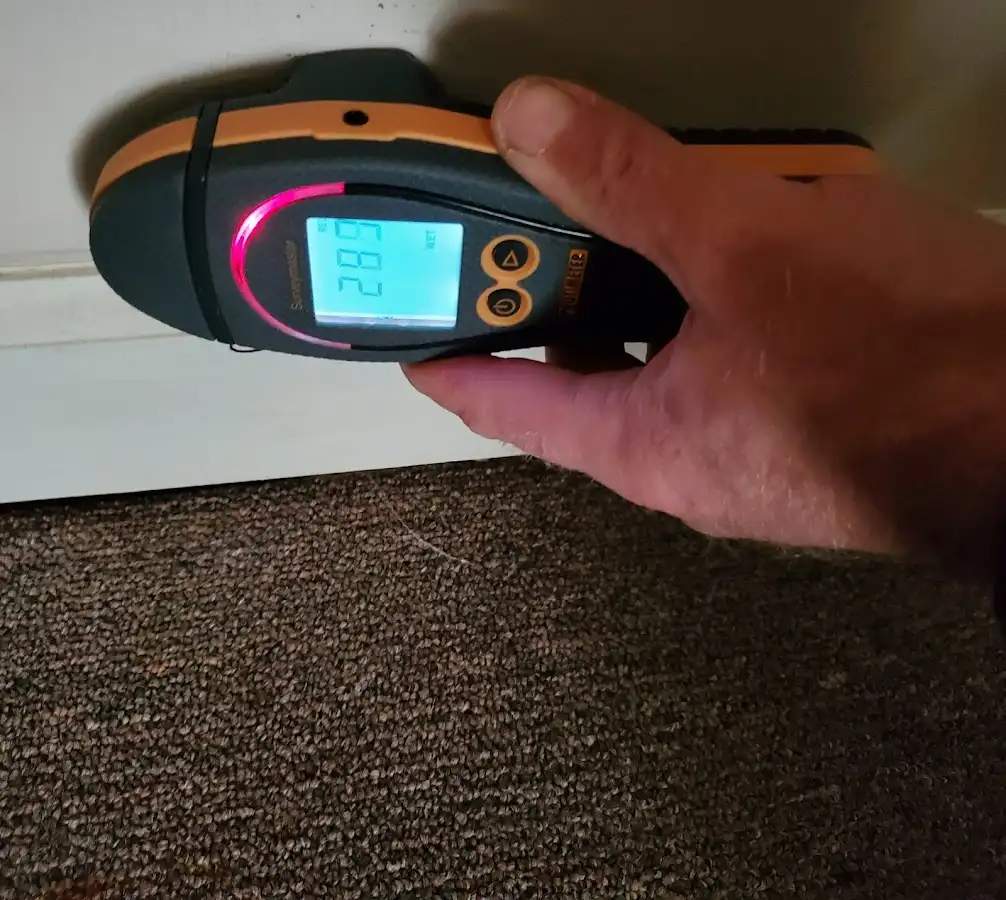 Moisture detection at baseboard during Sewage Cleanup & Sanitation in Steubenville